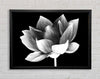 Black and white flower beauty Framed Wall Art
