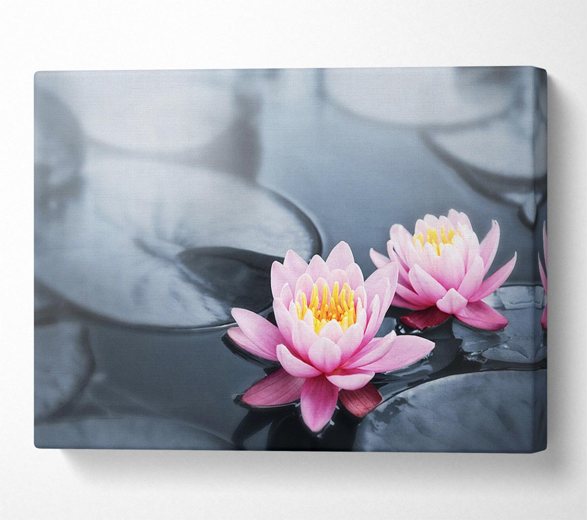 Flowers on the water floating Canvas Wall Art