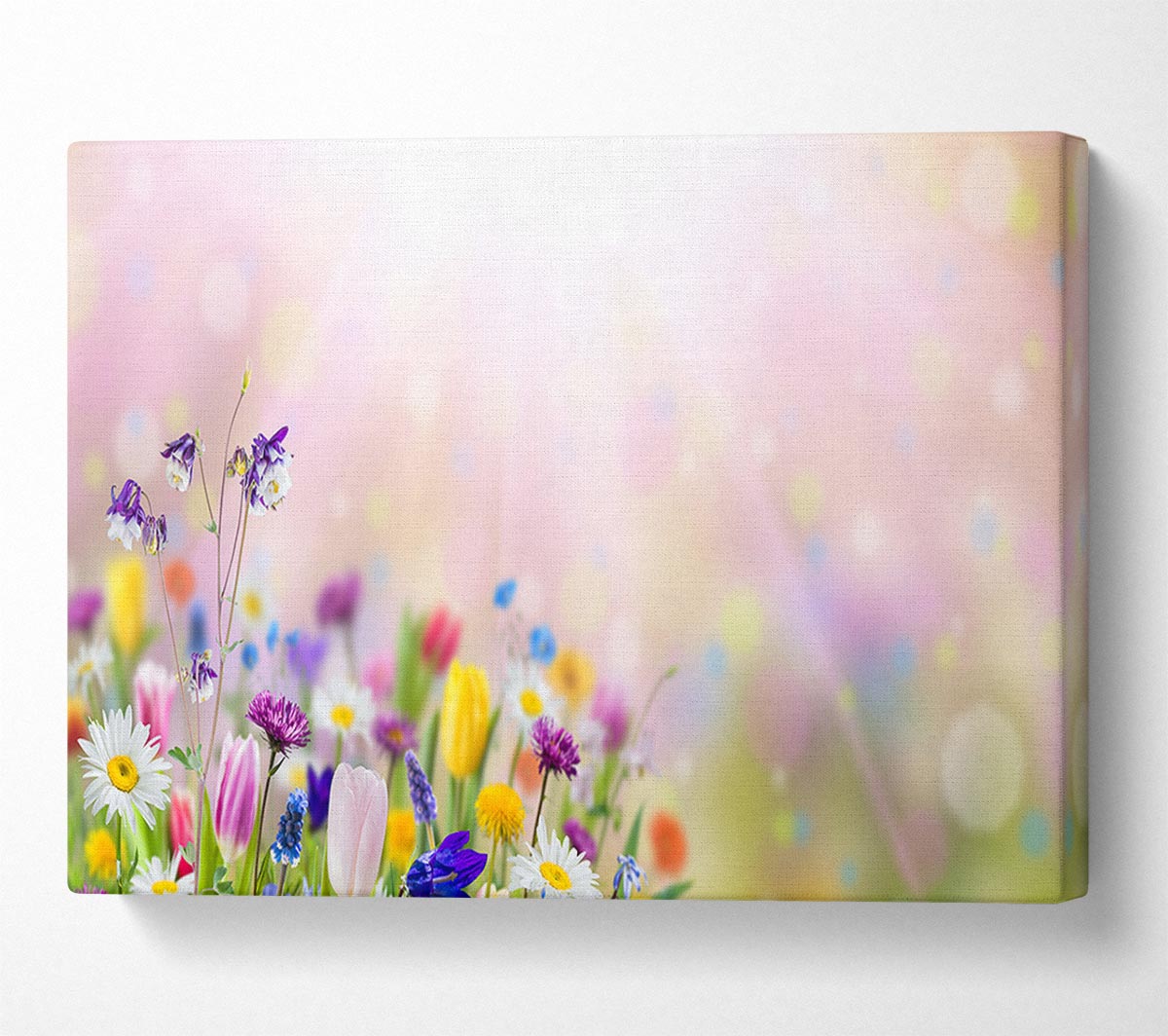 Mixed colourful flowers Canvas Wall Art