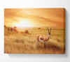 Gazelle in the grasslands Canvas Wall Art