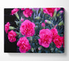 Pink flowers rising Canvas Wall Art