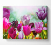 Multiple coloured tulips Canvas Wall Art
