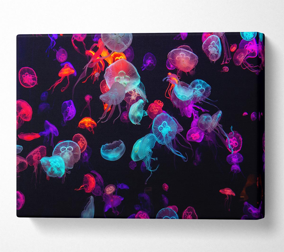 Neon Jellyfish frenzy Canvas Wall Art