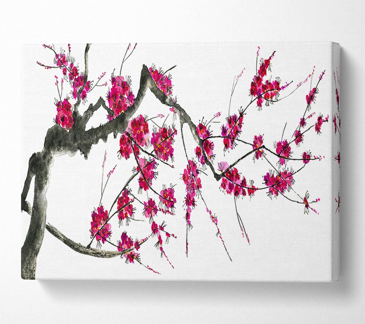 Cherry blossom illustration Canvas Wall Art