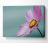 Flower shot from the side pink Canvas Wall Art
