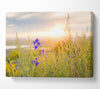 Purple flower suspended in the sunlight Canvas Wall Art