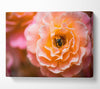 Bee chilling in a flower Canvas Wall Art