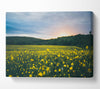 Surreal field of yellow flowers Canvas Wall Art