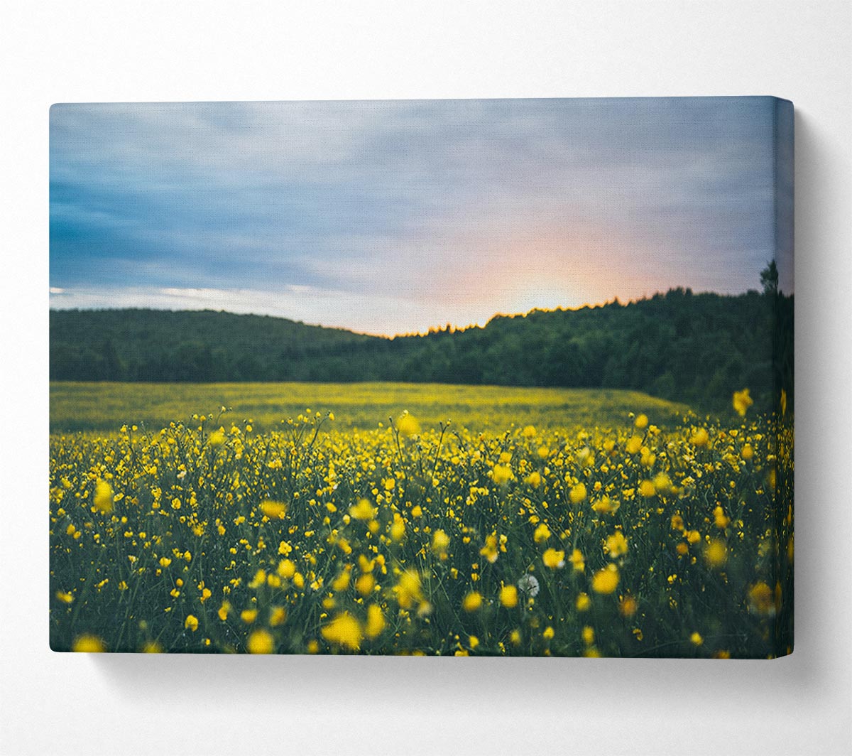 Surreal field of yellow flowers Canvas Wall Art