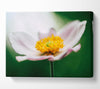 Landing pad flower Canvas Wall Art