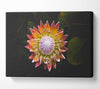 Star big flower Canvas Wall Art