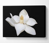 White flower on black delicate Canvas Wall Art
