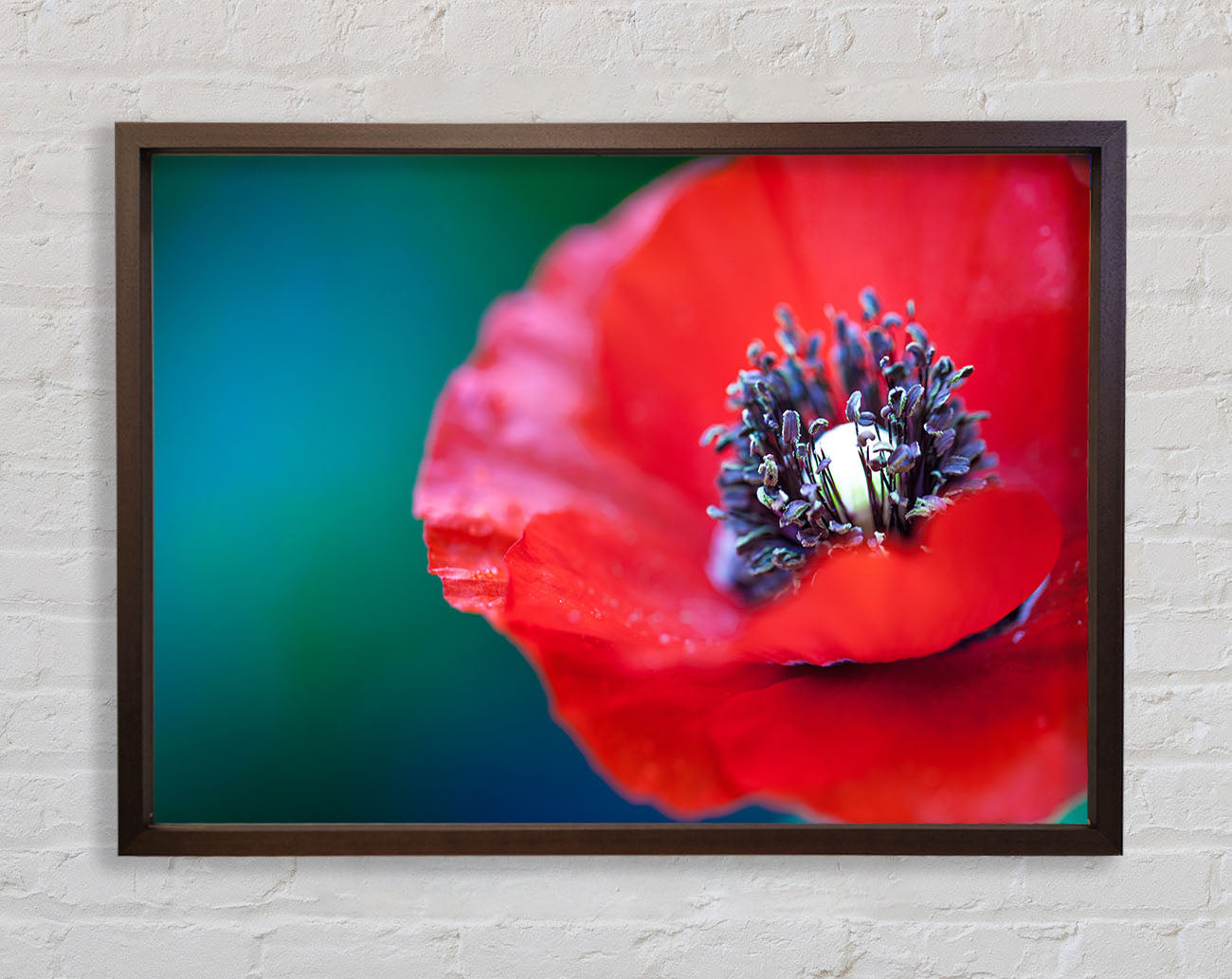close look inside a poppy Framed Wall Art