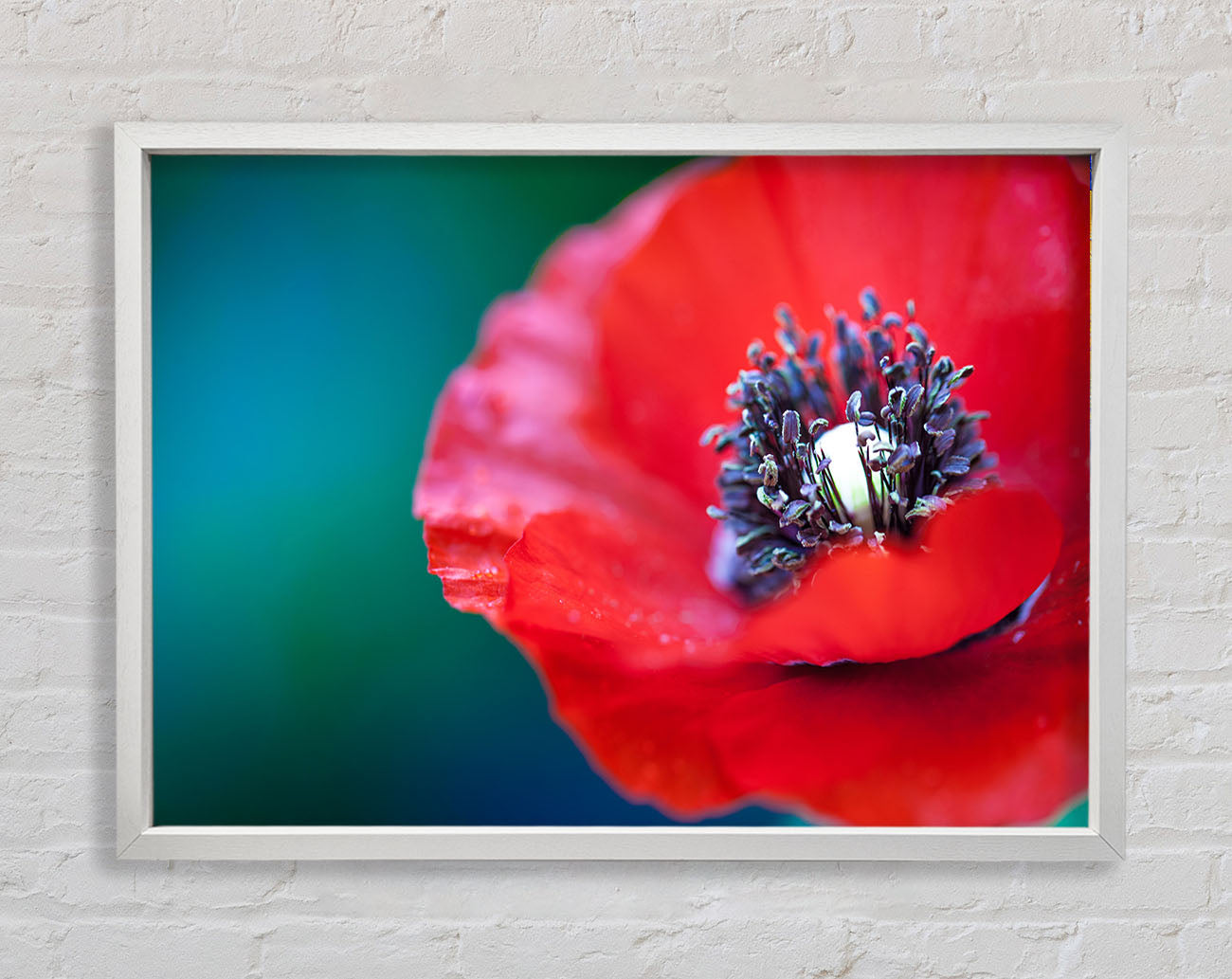 close look inside a poppy Framed Wall Art