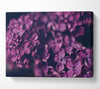 Minature purple flowers Canvas Wall Art