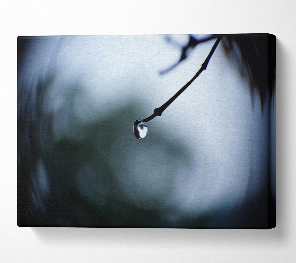 Singele droplet on a twig Canvas Wall Art