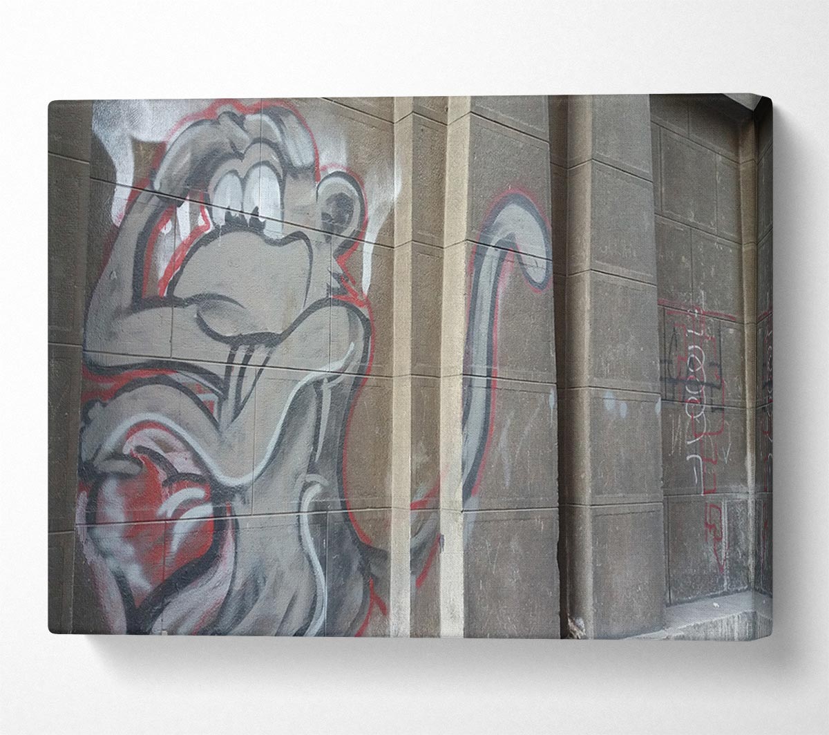 Monkey on the wall Canvas Wall Art