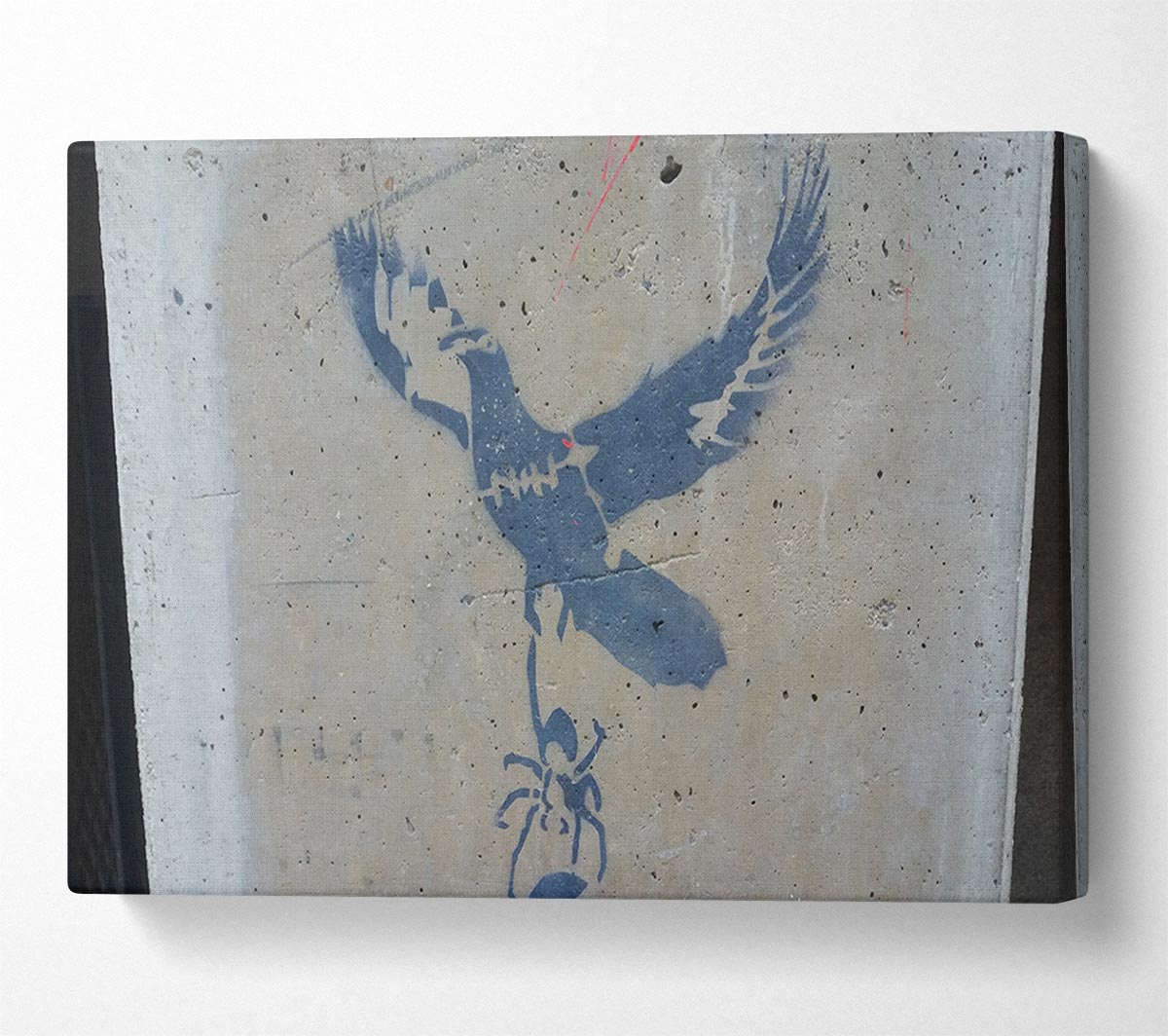 Dove taking off with spider Canvas Wall Art