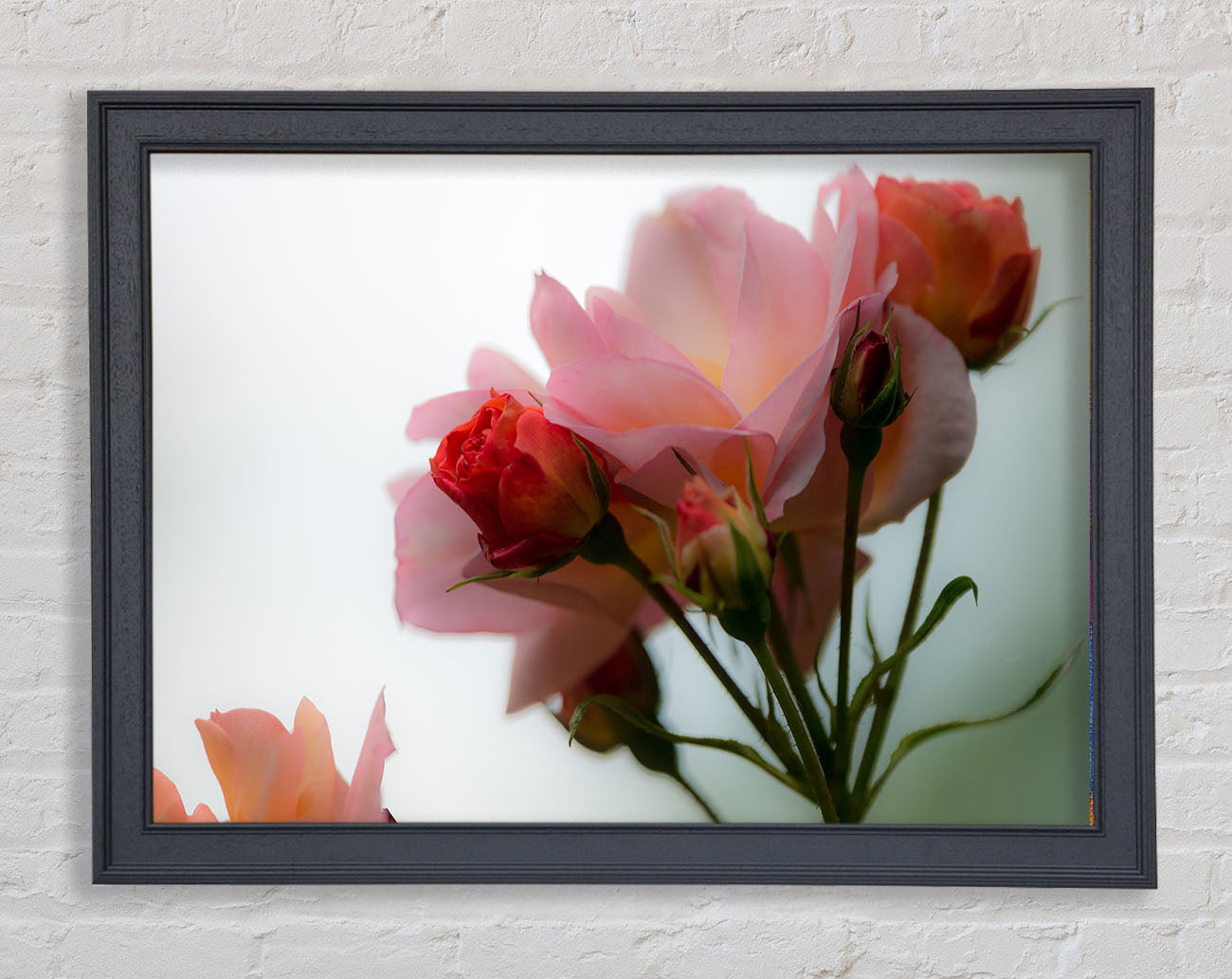 An array of pink flowers Framed Wall Art