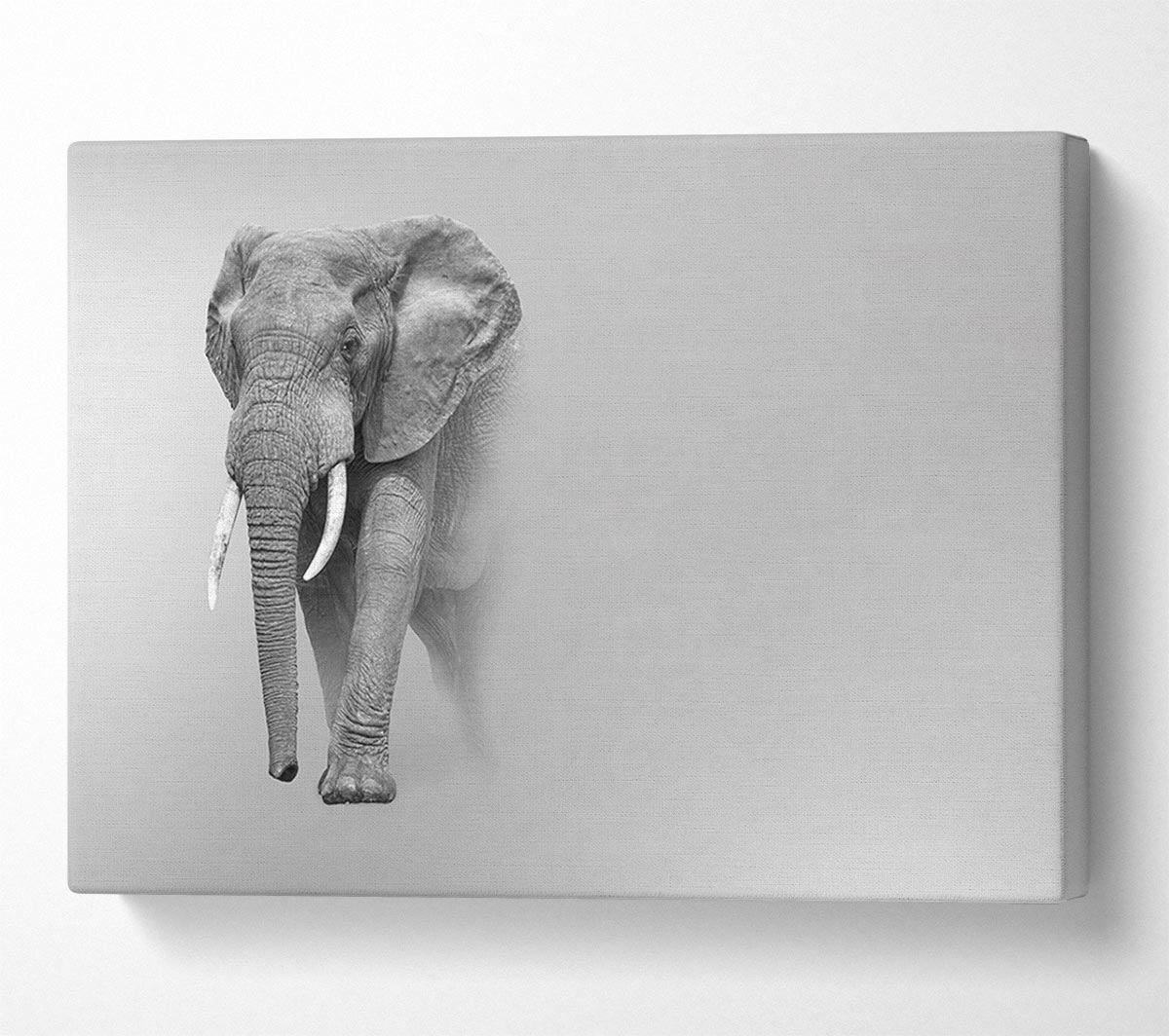 Elephant In The Mist Canvas Wall Art