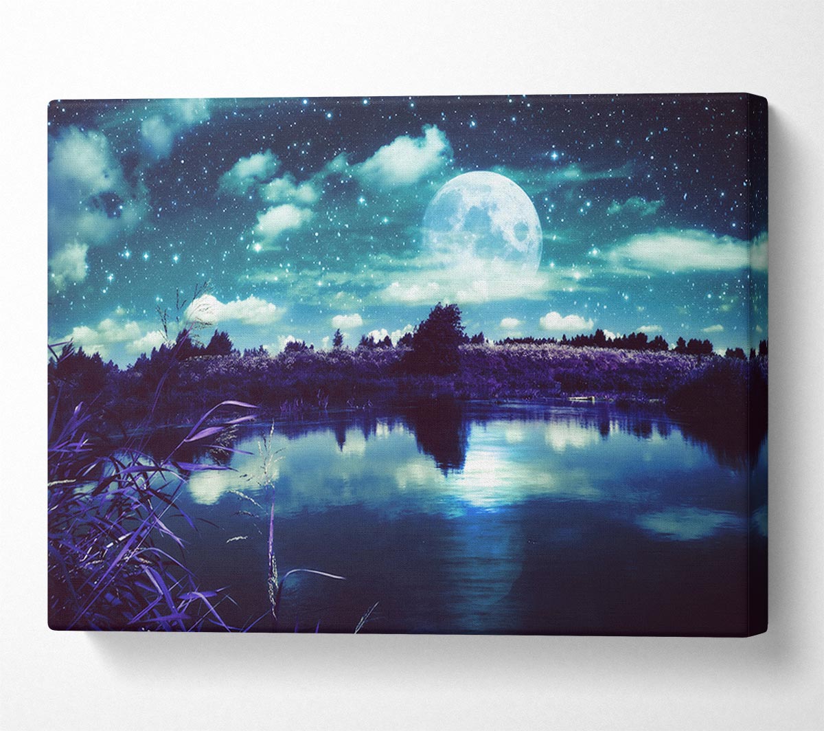 Lake Under The Night Sky Canvas Wall Art