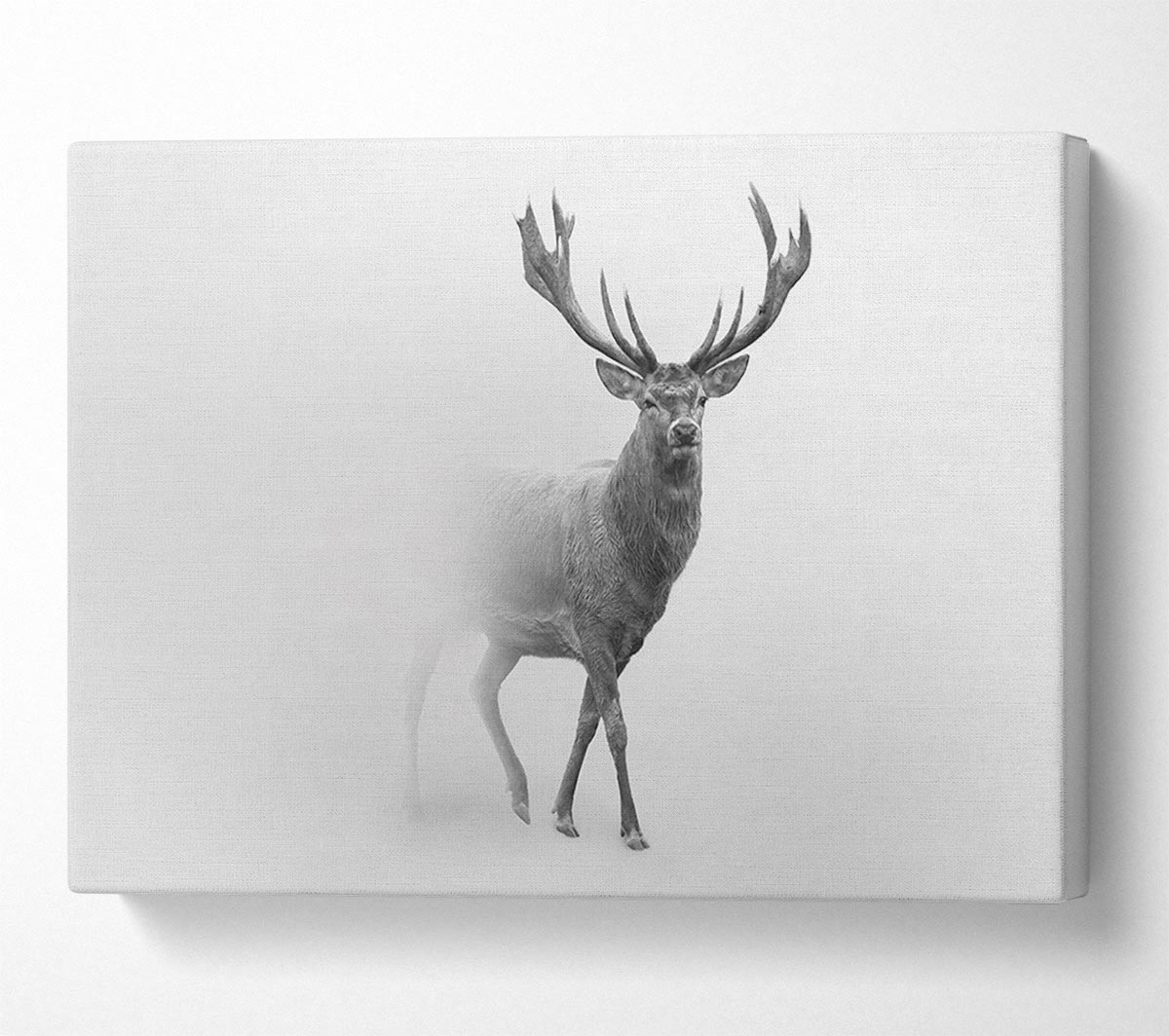Stag In The Mist Canvas Wall Art
