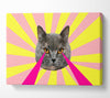Cat Lazer Eyes Canvas Wall Art