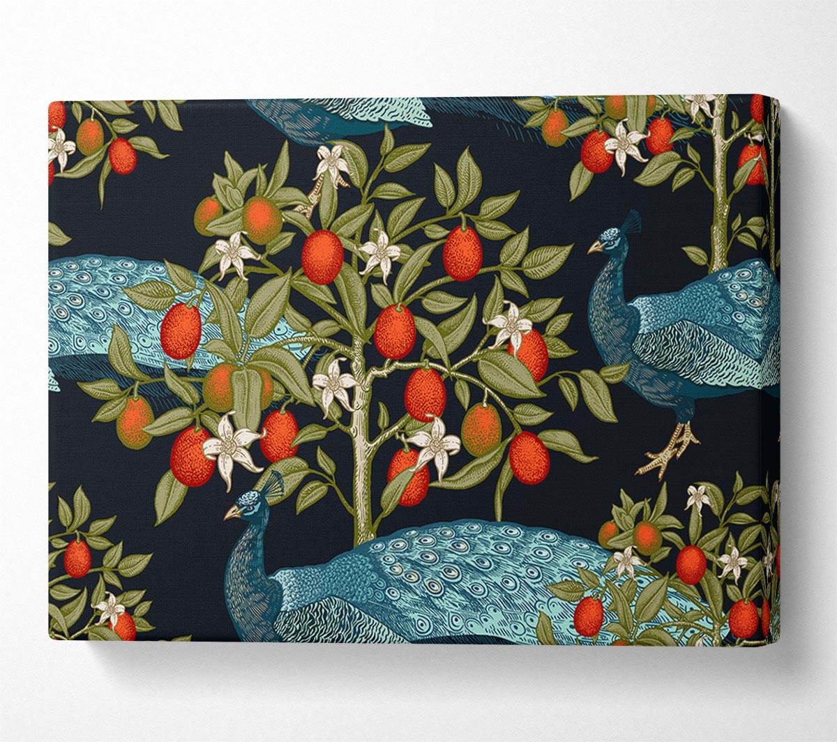The Peacock And Orange Tree Canvas Wall Art