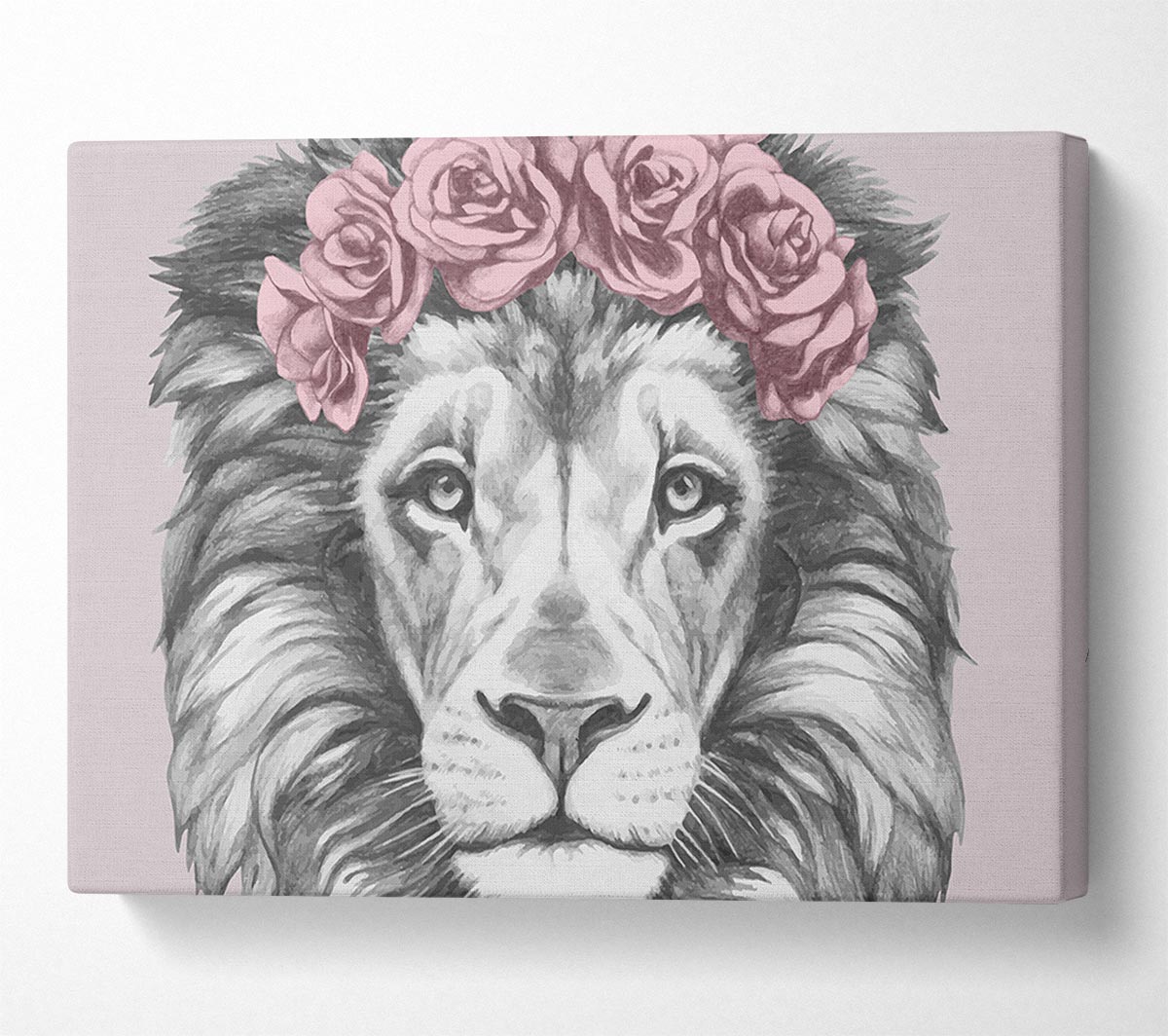The Rose Head Lion Canvas Wall Art