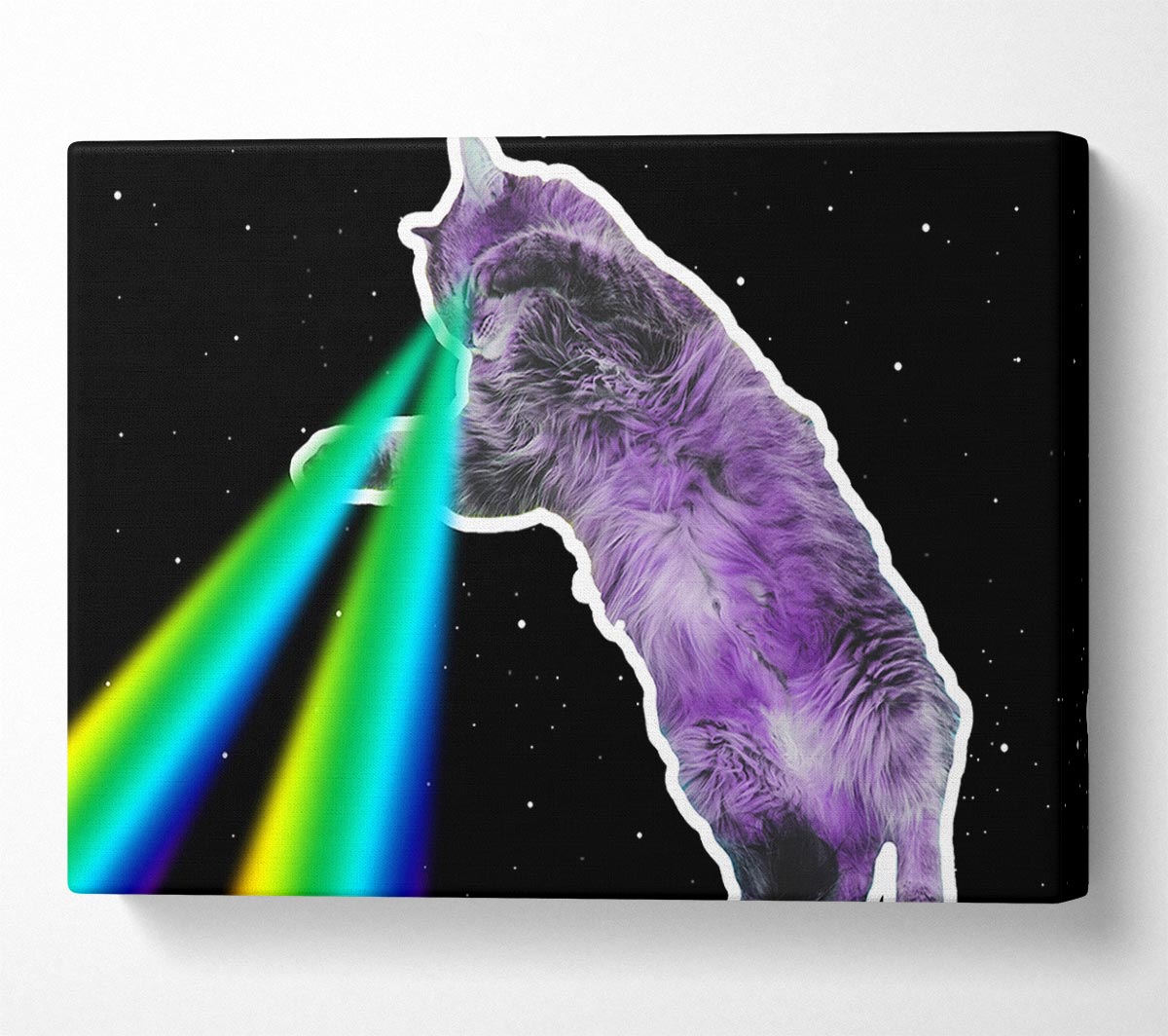 Cat Lazer Beam Space Canvas Wall Art