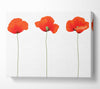 Three Poppies Standing Canvas Wall Art