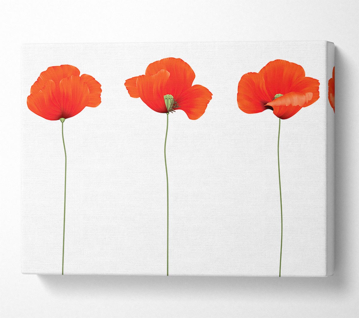 Three Poppies Standing Canvas Wall Art