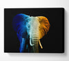 Tri Coloured Elephant Canvas Wall Art