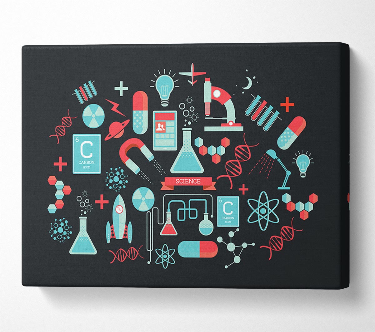 The Scientist Canvas Wall Art