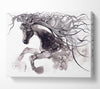 Long Haired Horse Canvas Wall Art
