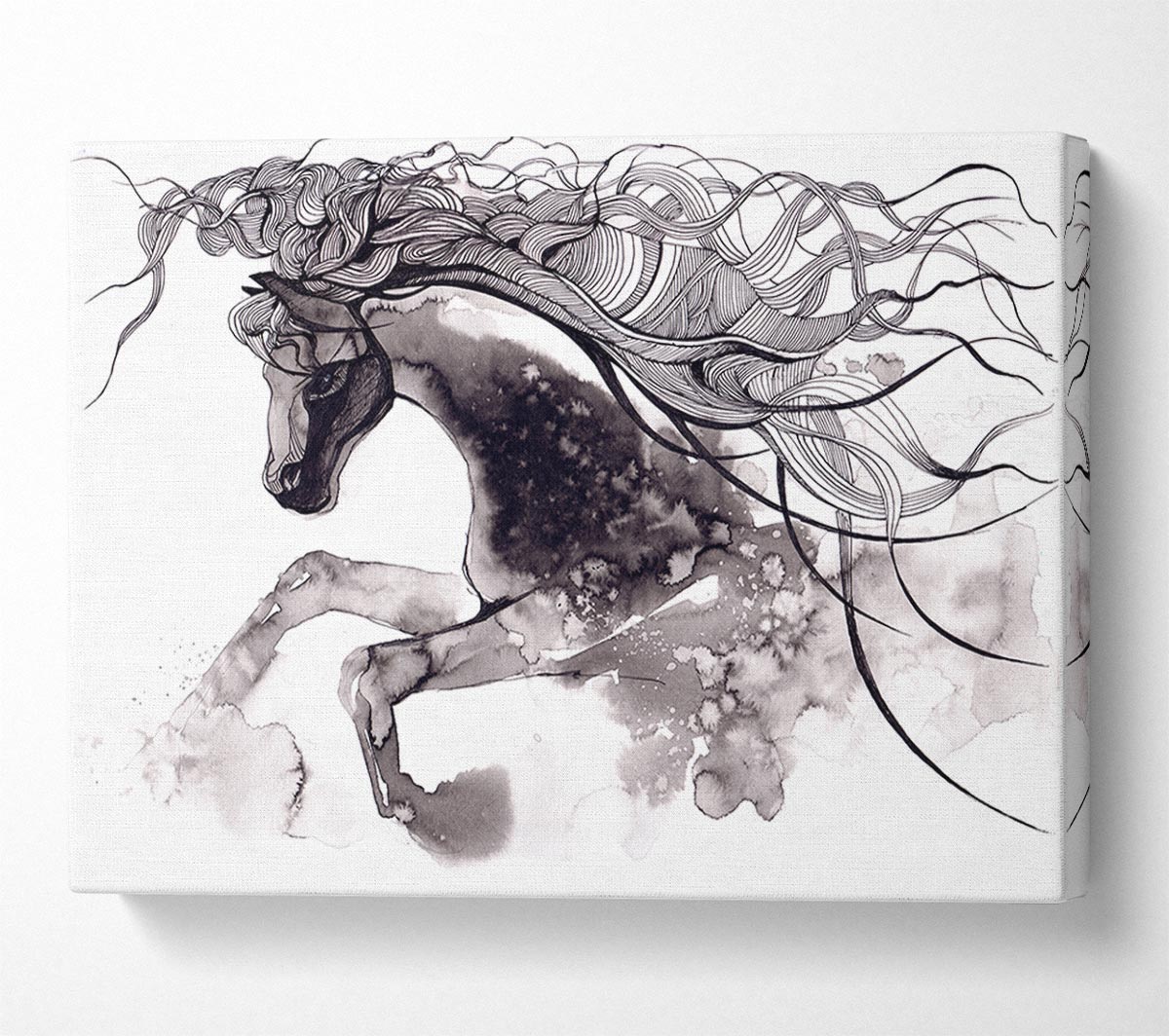 Long Haired Horse Canvas Wall Art
