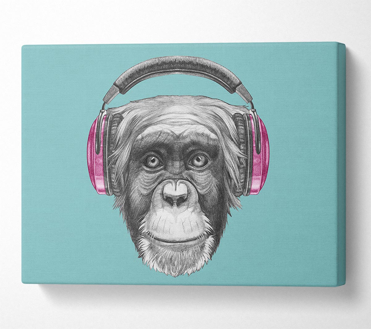 Chimpanzee Headphone Dj Canvas Wall Art