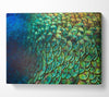 Closer To The Feathers Canvas Wall Art