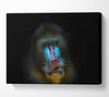 Mandrill Anger Canvas Wall Art