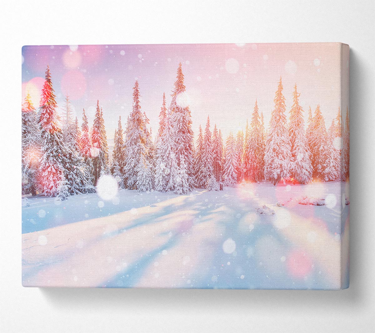 Snow Storm Sunlight Canvas Wall Art