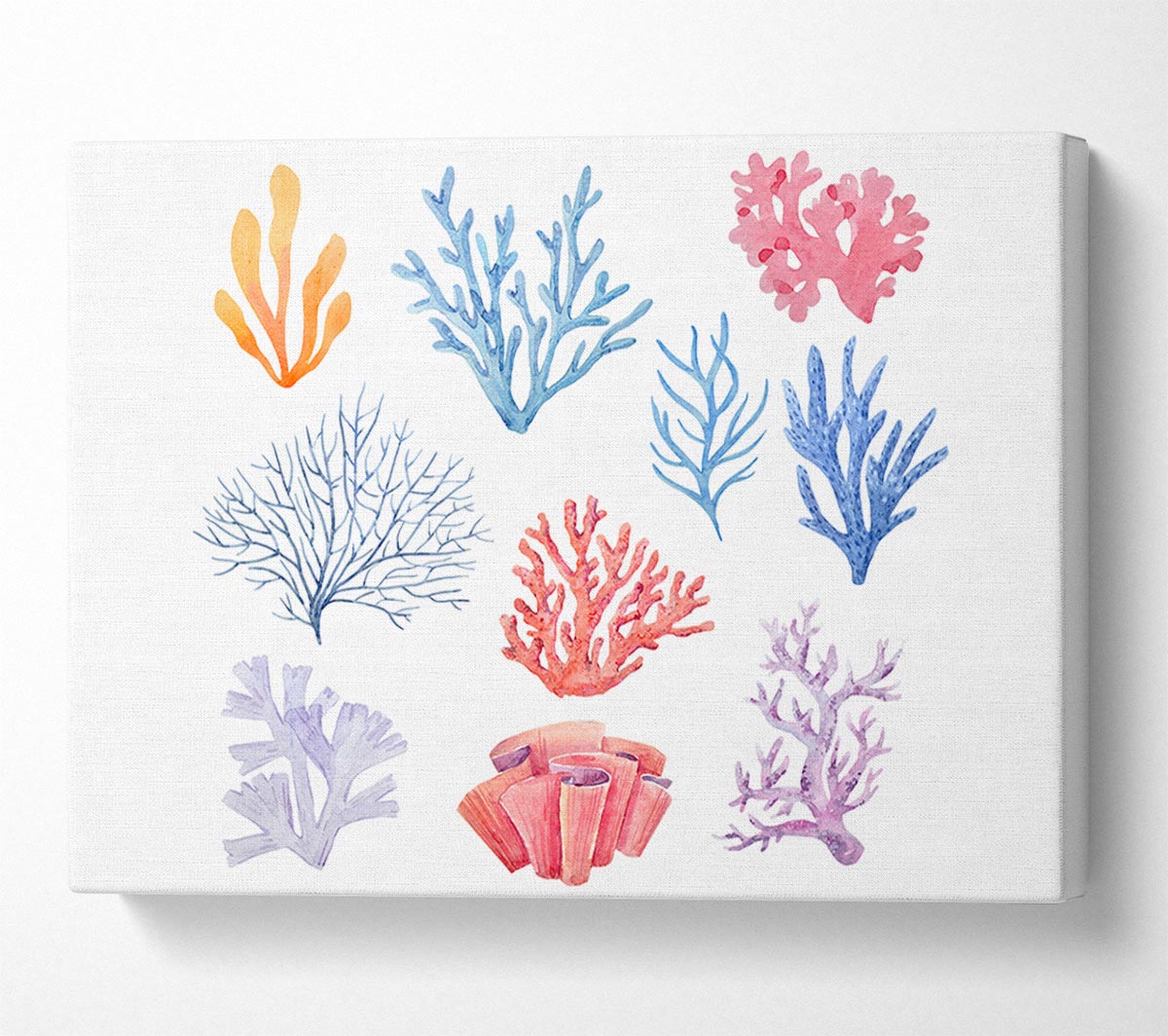 Sea Life Coral Canvas Wall Art