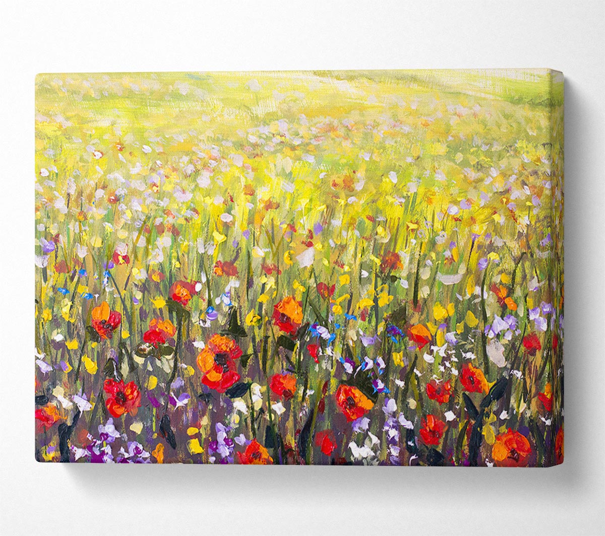 The Poppies Field Of Light Canvas Wall Art