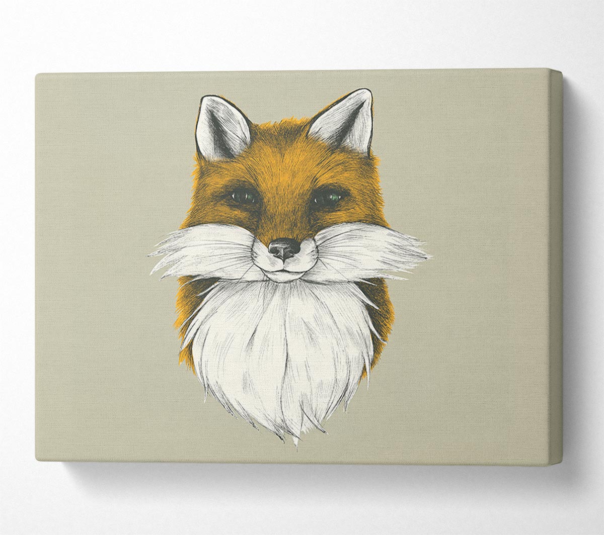 The Fox Face Canvas Wall Art