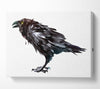 The Black Crow Canvas Wall Art