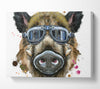 The Boar In Glasses Canvas Wall Art
