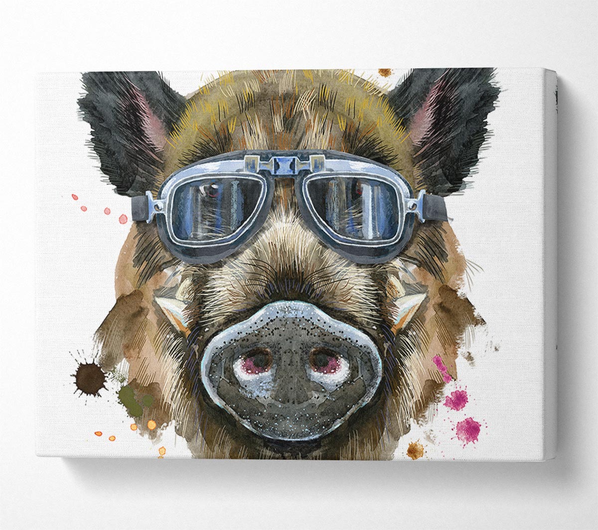 The Boar In Glasses Canvas Wall Art