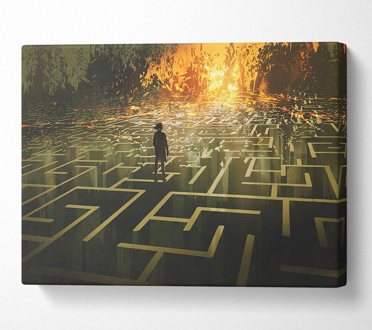 Standing On A Maze Canvas Wall Art