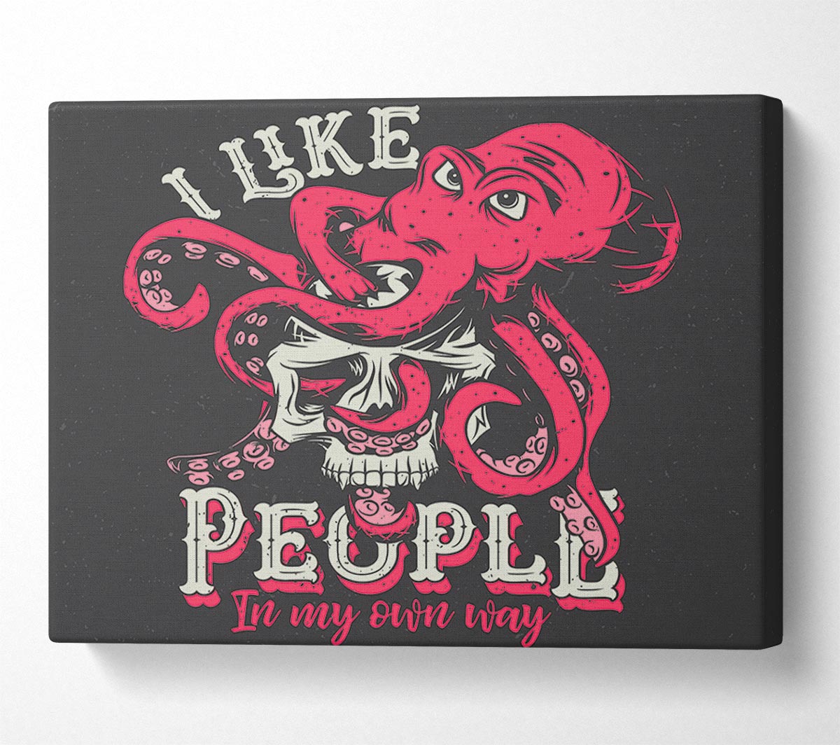 I Like People In My Own Way Canvas Wall Art