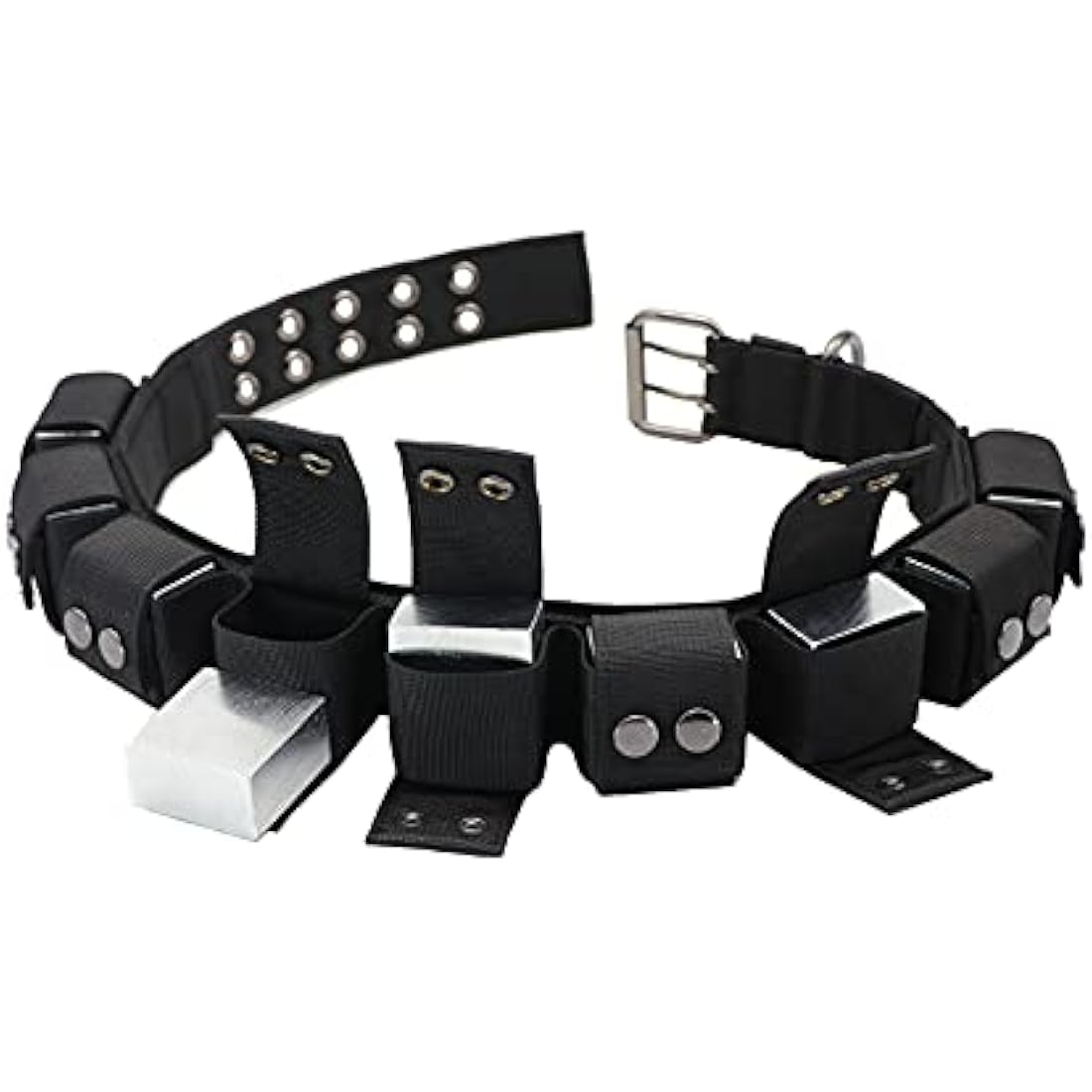 Walktime Tactical Weighted Dog Collar - Weights for Training & Exercise - Small, Medium, Large Dogs