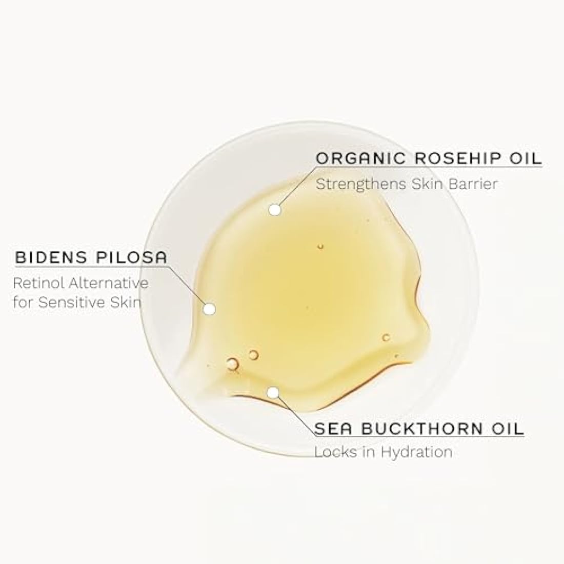 REN Bio Retinoid Youth Concentrate Oil, 30ml – Anti-Aging Face Oil with Bidens Pilosa and Rosehip Oil, Retinol-Alternative for Sensitive Skin, Reduces Fine Lines and Wrinkles